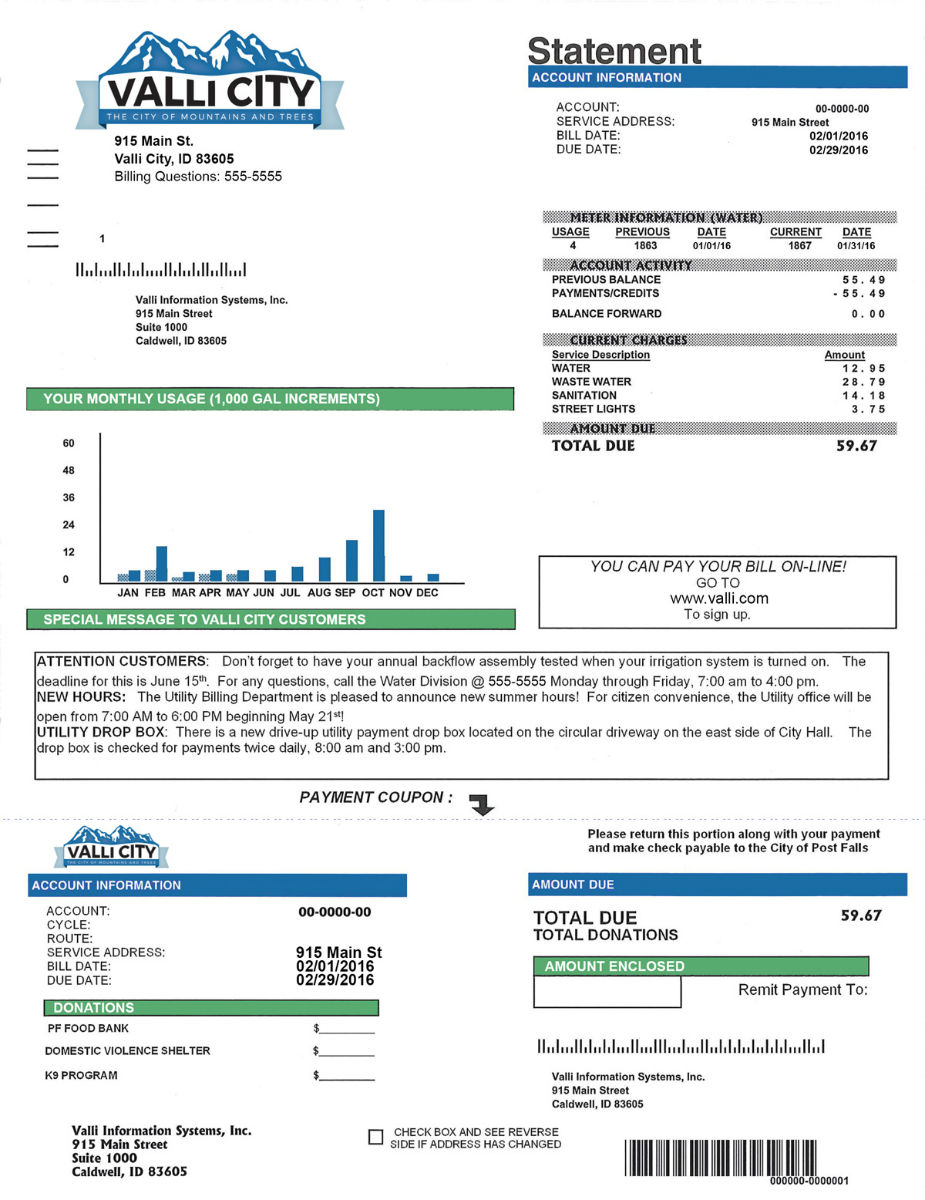 Utility Bill Statement Example